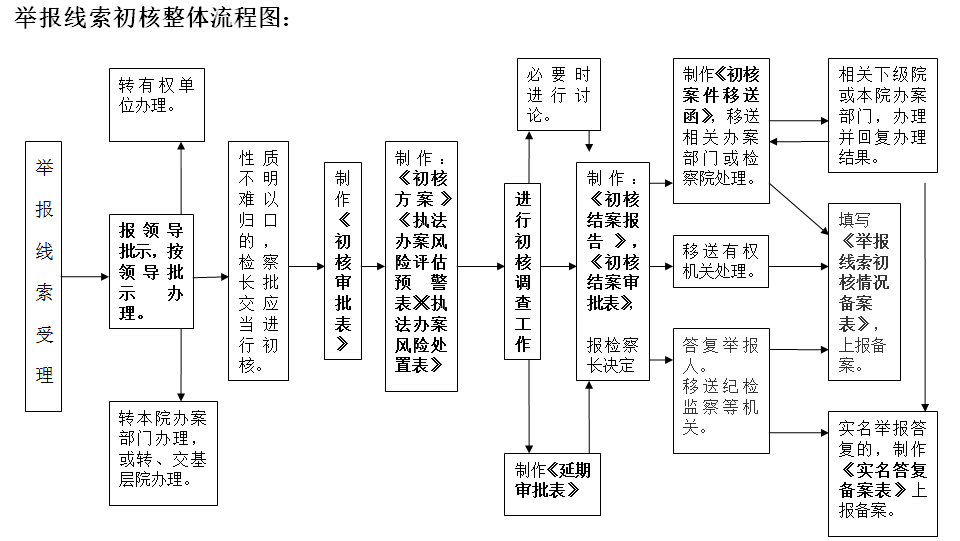 举报线索初核整体流程图